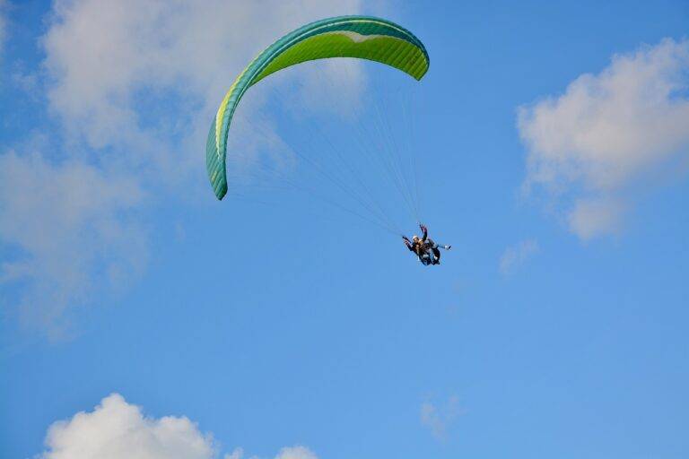 Analyzing the Role of Athletes in Sports Entertainment Product Endorsements